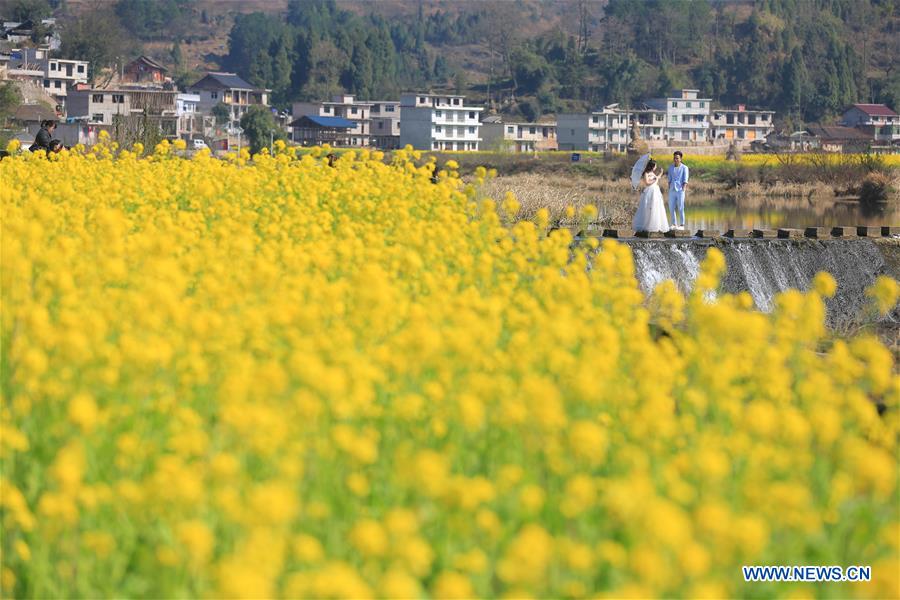 #CHINA-SPRING-FLOWERS (CN)