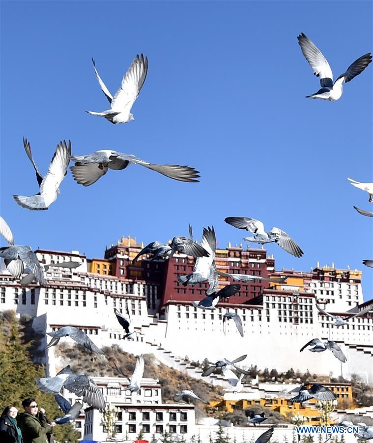 CHINA-LHASA-SPRING (CN)