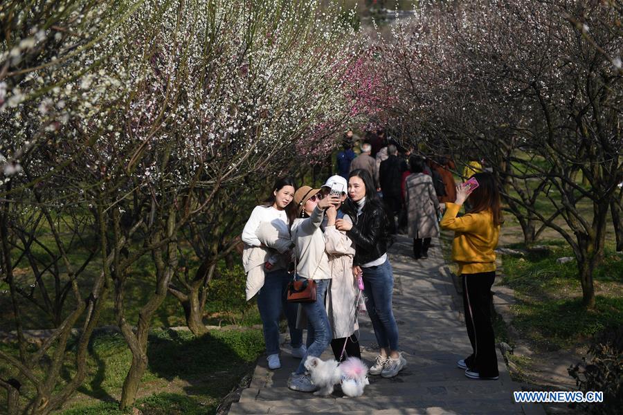 CHINA-SUZHOU-FLOWERS (CN)