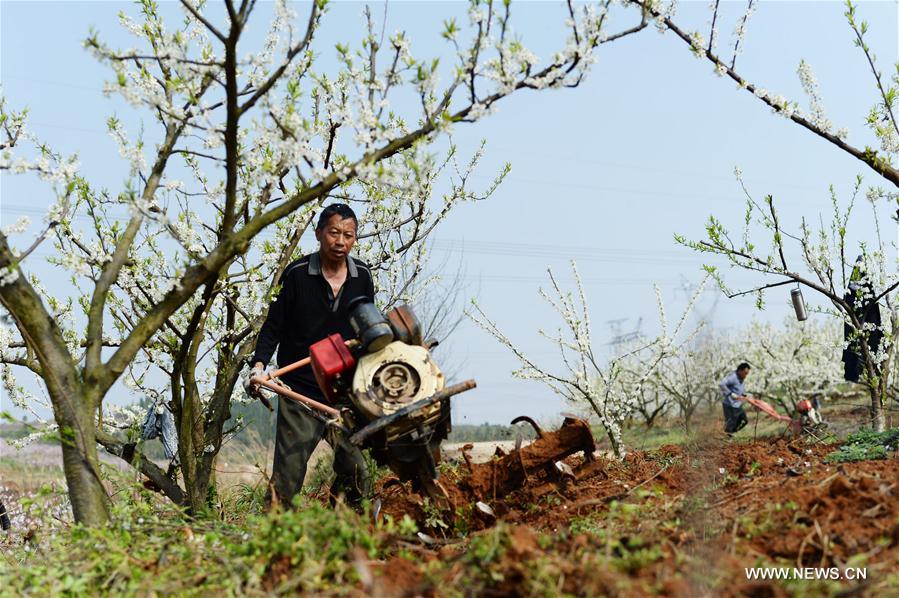 CHINA-CHUNFEN-FARM WORK(CN)