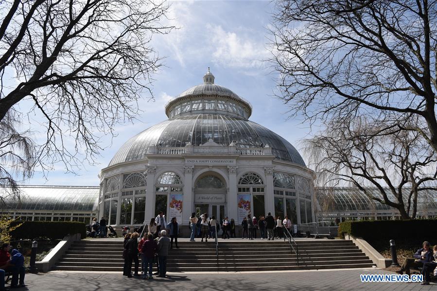 U.S.-NEW YORK-BOTANICAL GARDEN-ORCHID SHOW