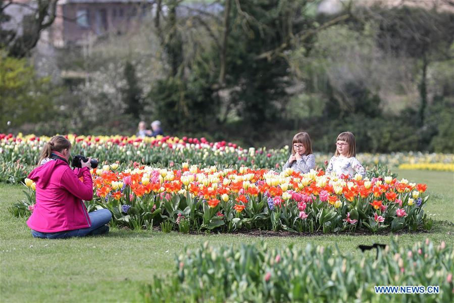 BELGIUM-BRUSSELS-FLOWER SHOW