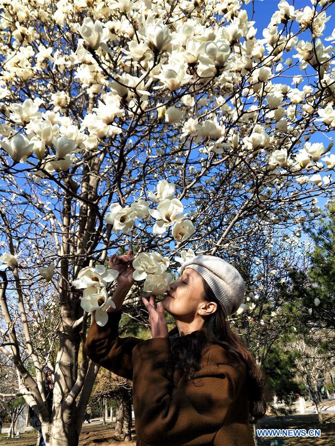 (Beijingcandid)CHINA-BEIJING-SPRING-PEOPLE (CN)