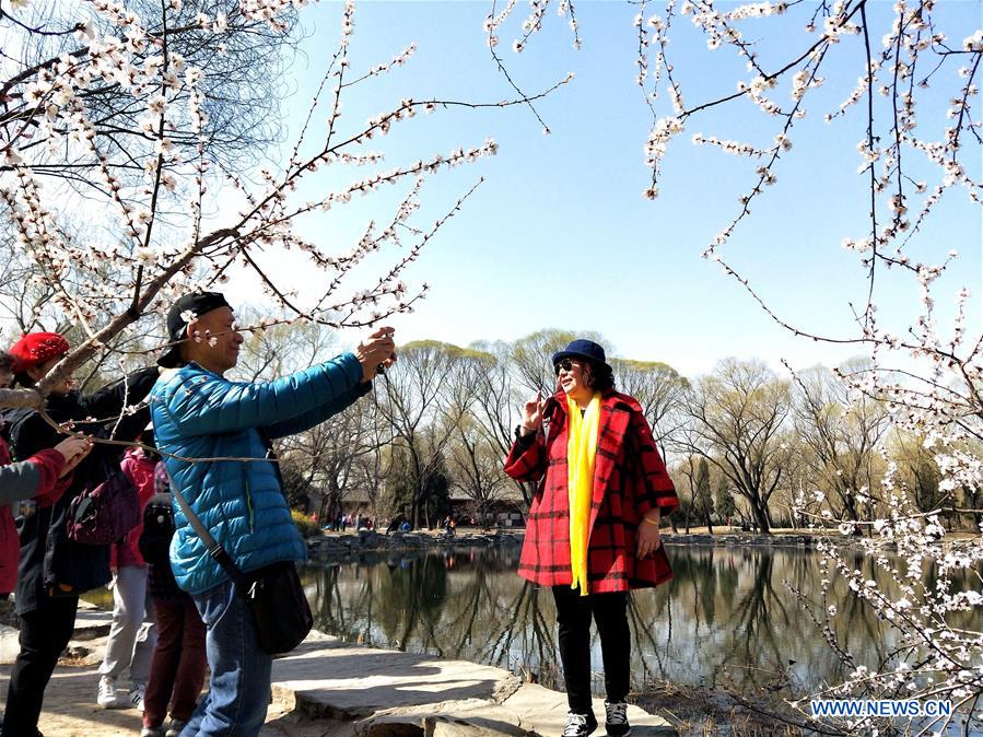 (Beijingcandid)CHINA-BEIJING-SPRING-PEOPLE (CN)