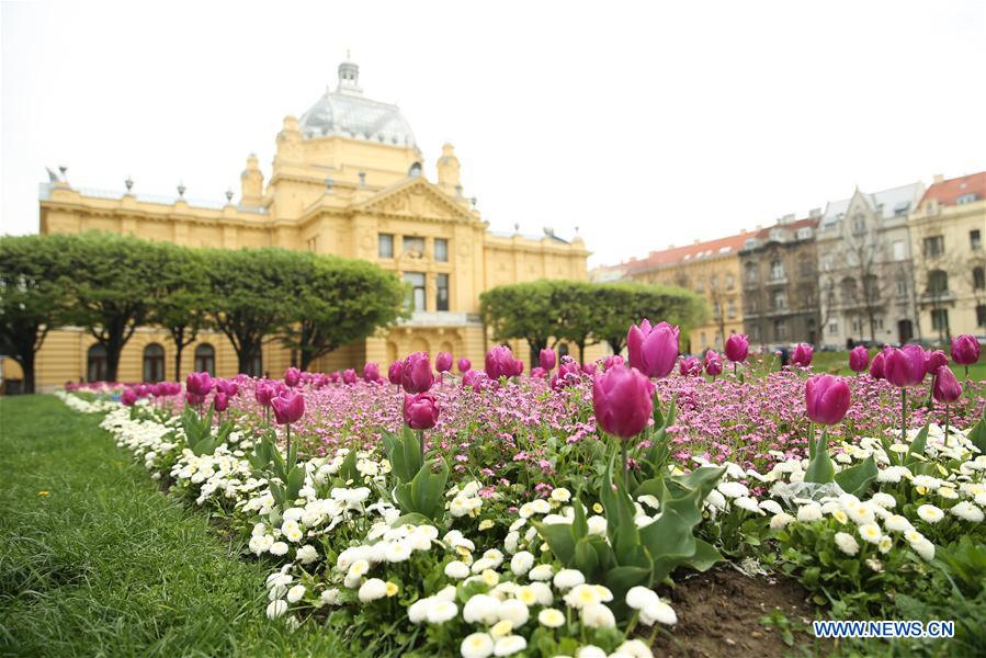 CROATIA-ZAGREB-SPRING-FLOWERS