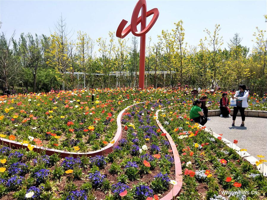 (BeijingCandid)CHINA-BEIJING-HORTICULTURAL EXPO-FLOWERS (CN)