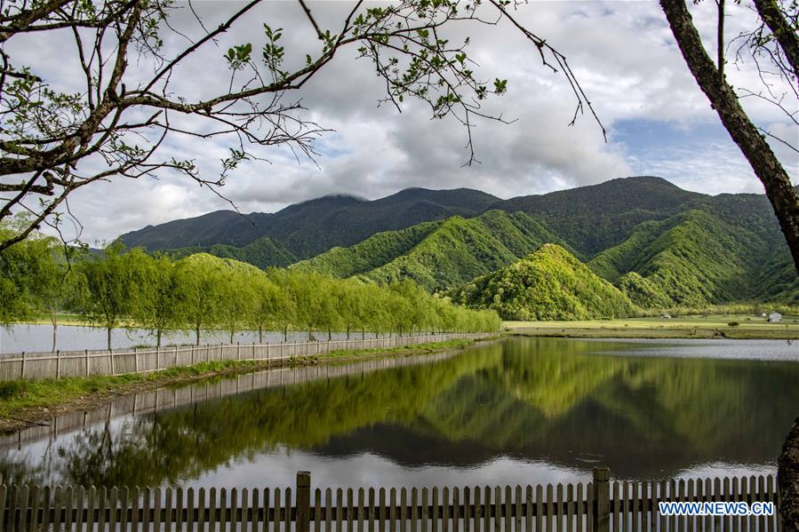 CHINA-HUBEI-SHENNONGJIA-SCENERY (CN)