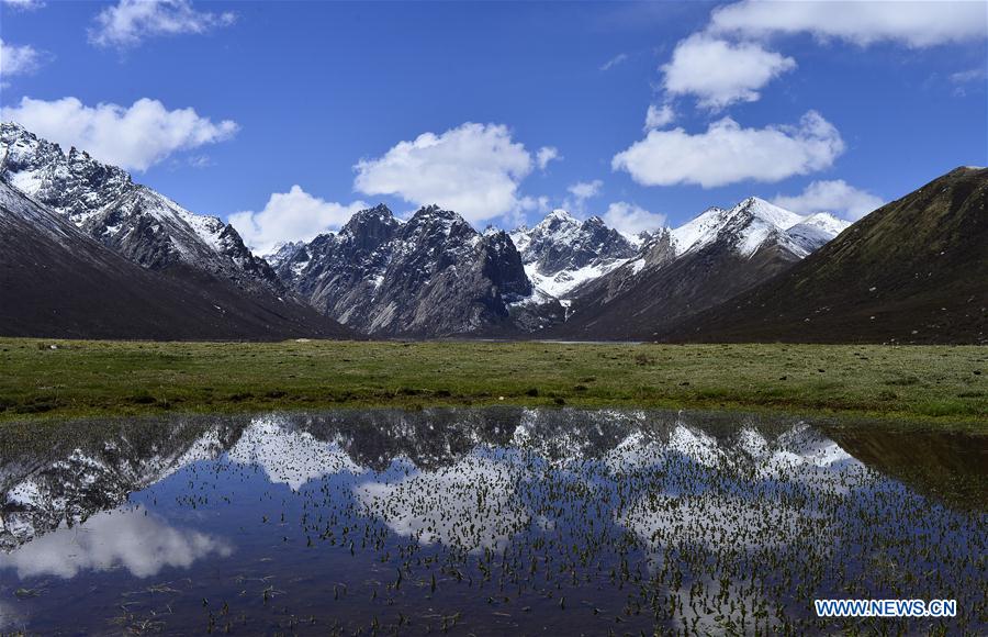 CHINA-QINGHAI-NIANBAOYUZE-MOUNTAIN-SCENERY (CN)