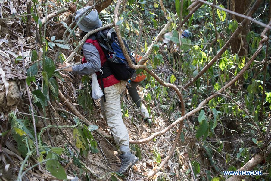 MYANMAR-TAMANTHI-CHINA-JOINT FIELD EXPEDITION