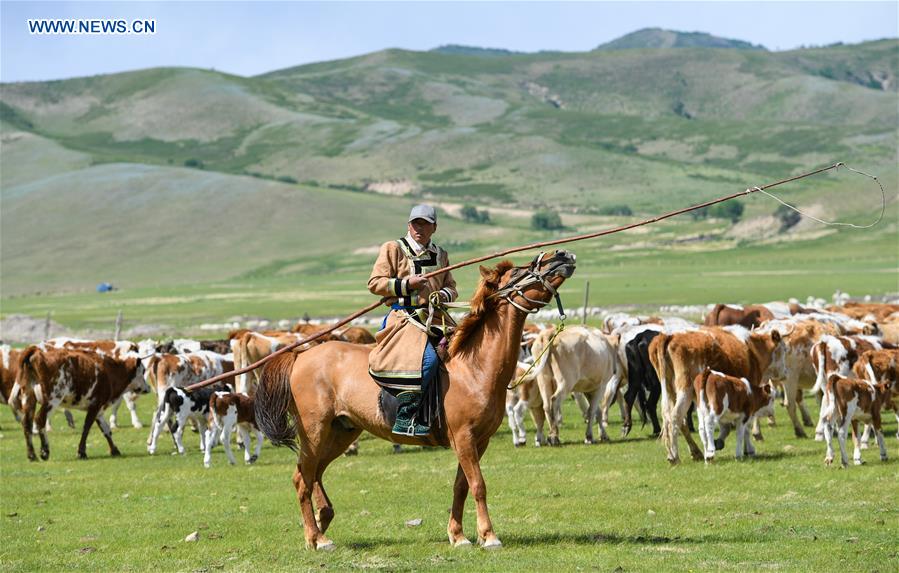 CHINA-INNER MONGOLIA-HERDSMEN-MIGRATION (CN)