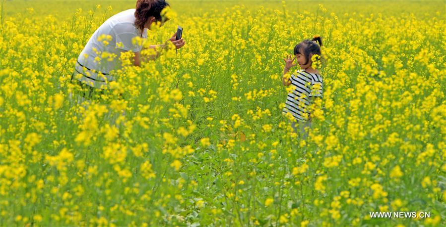 CHINA-SHENYANG-COLE FLOWERS(CN)