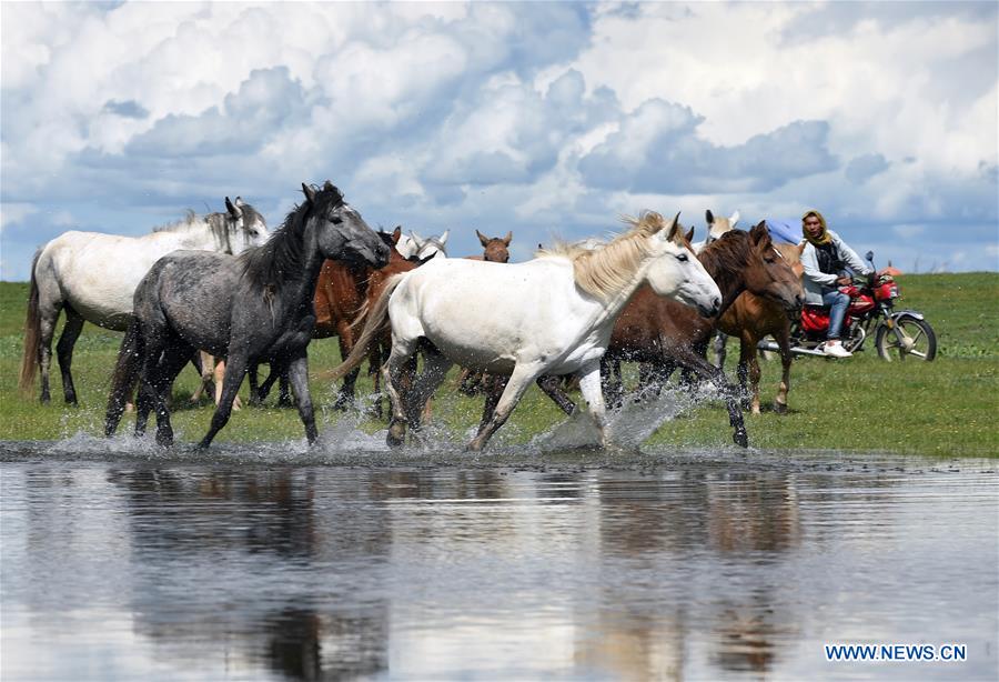 CHINA-GANSU-MAQU-HEQU HORSES (CN)