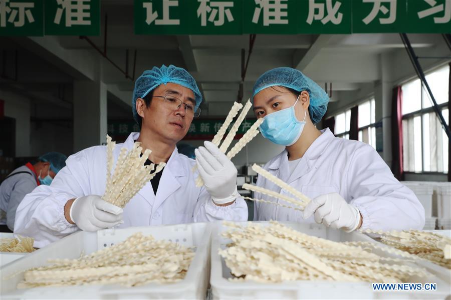 #CHINA-CHONGQING-NOODLES MAKING (CN)