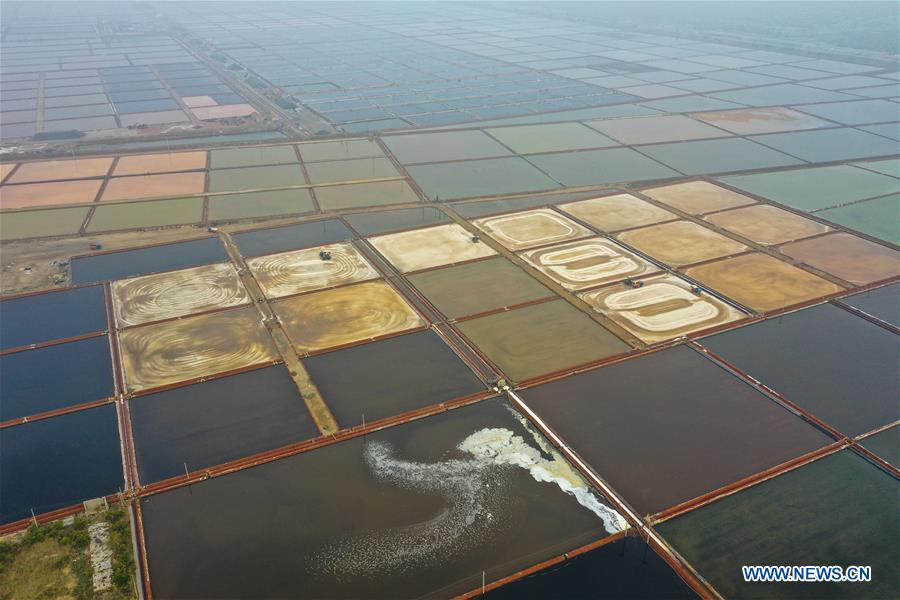 # CHINA-SHANDONG-RAW SALT (CN)