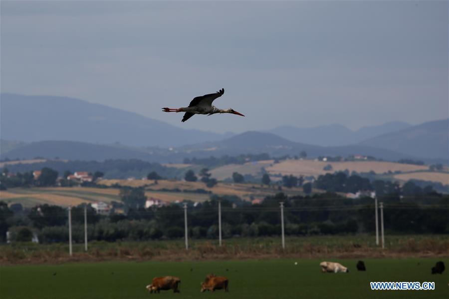 TURKEY-SAMSUN-KIZILIRMAK DELTA-SCENERY (CN)