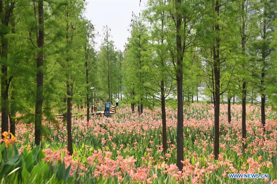 (EcoChina)CHINA-HORTICULTURAL EXPO-GUANGDONG (CN)