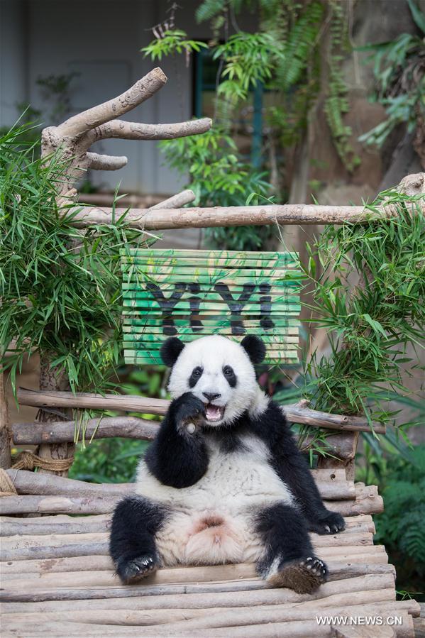 MALAYSIA-KUALA LUMPUR-GIANT PANDA CUB-NAMING-YI YI