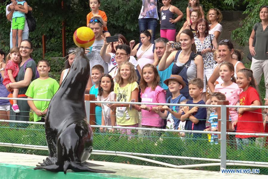 HUNGARY-BUDAPEST-ZOO ANIMAL FEEDING