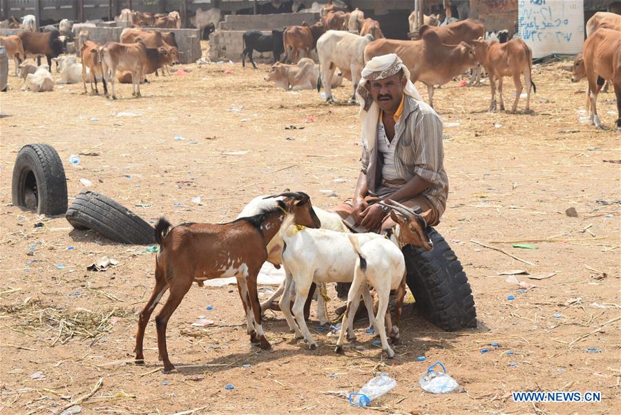 YEMEN-ADEN-EID AL-ADHA-PREPARATION