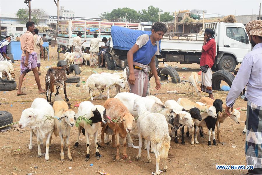 YEMEN-ADEN-EID AL-ADHA-PREPARATION