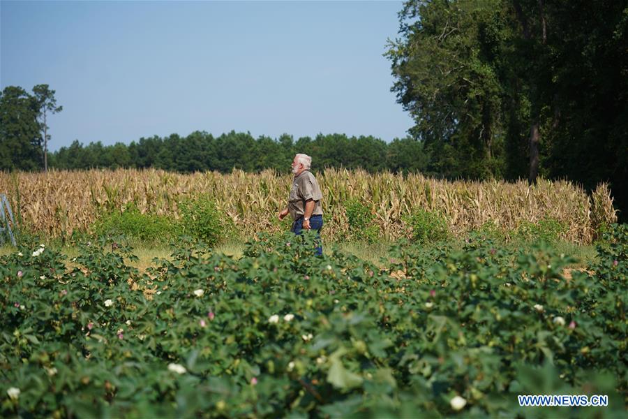 U.S.-GEORGIA-SYLVANIA-COTTON INDUSTRY-TARIFFS-TRADE