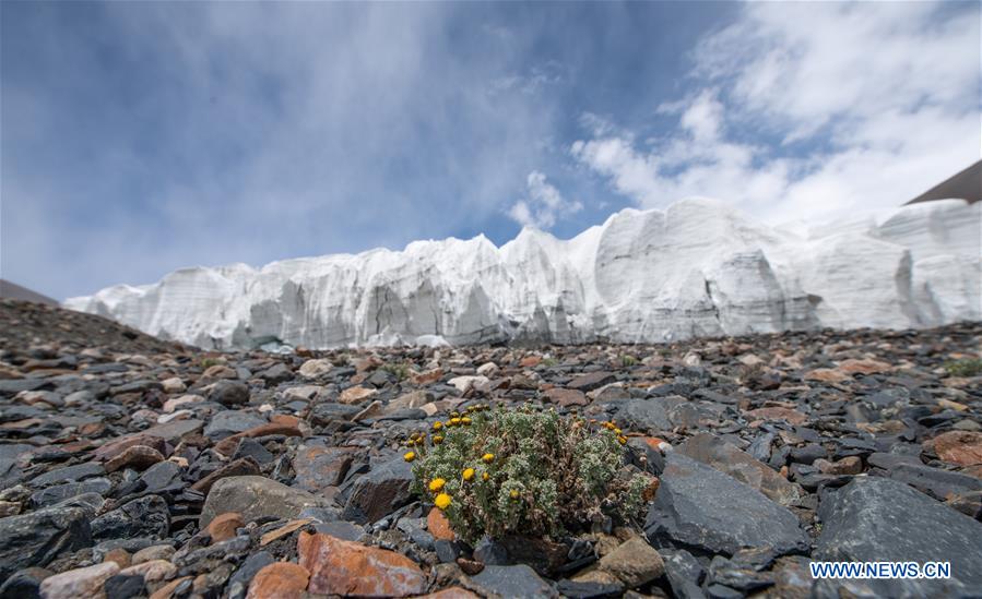 CHINA-TIBET-GLACIER-SCENERY(CN)