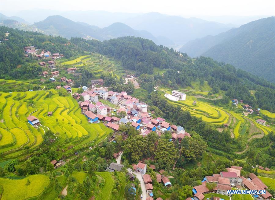 CHINA-GUIZHOU-PADDY FIELDS-TERRACED LANDS (CN)