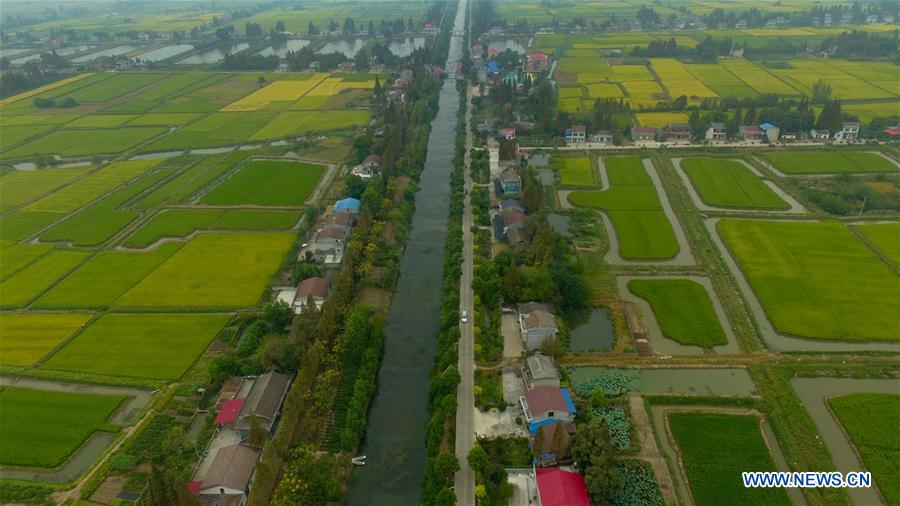 CHINA-HUNAN-NANXIAN-PADDY FIELD (CN)