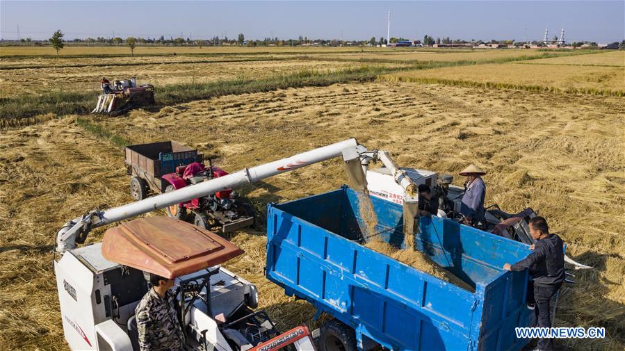 CHINA-HARVEST FESTIVAL-CELEBRATION (CN)