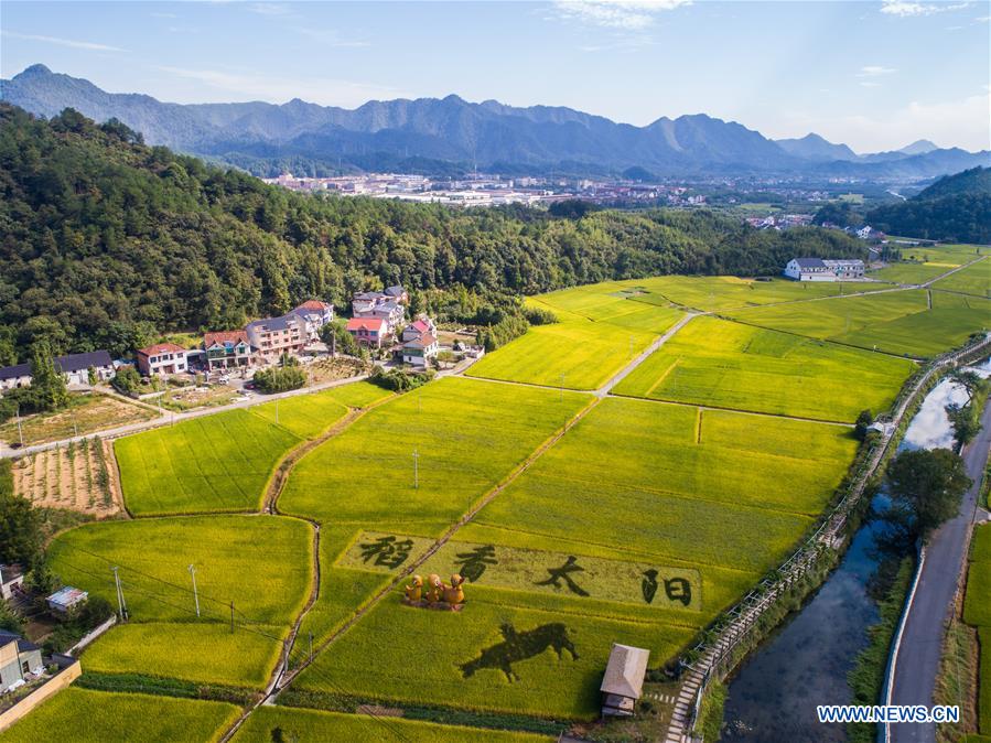 CHINA-ZHEJIANG-HANGZHOU-RICE-HARVEST (CN)