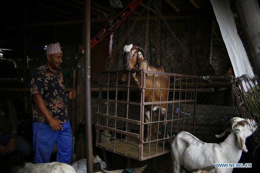 NEPAL-KATHMANDU-GOAT MATKET-DASHAIN