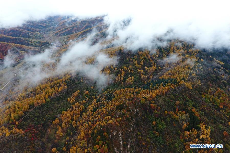 CHINA-SHANXI-PANGQUANGOU-NATURE RESERVE (CN)