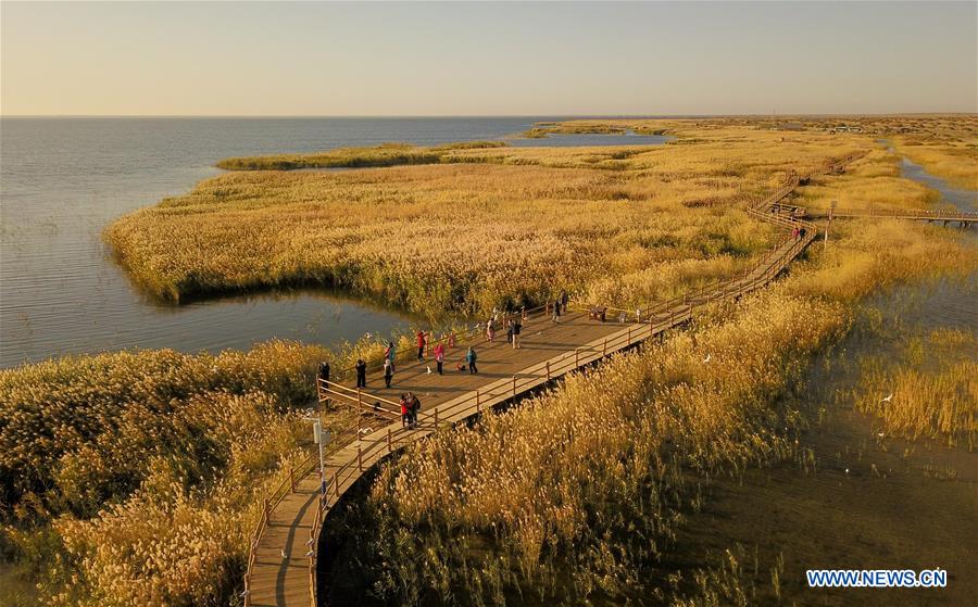 CHINA-INNER MONGOLIA-JUYANHAI LAKE-SCENERY (CN)