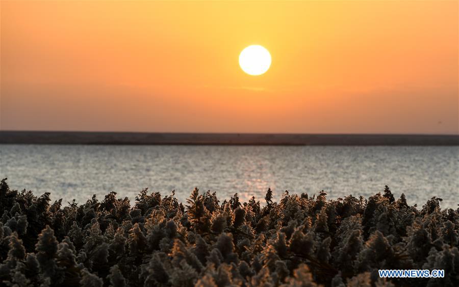 CHINA-INNER MONGOLIA-JUYANHAI LAKE-SCENERY (CN)