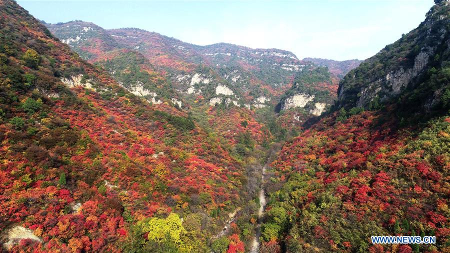 CHINA-HEBEI-JINGXING-XIANTAI MOUNTAIN-SCENERY (CN)