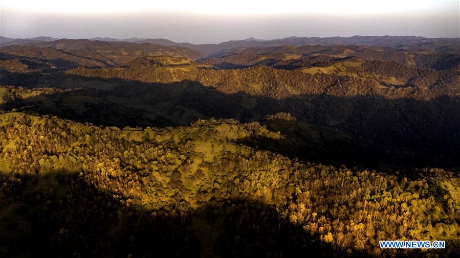 CHINA-SHAANXI-AUTUMN-PASTURE-SCENERY (CN)