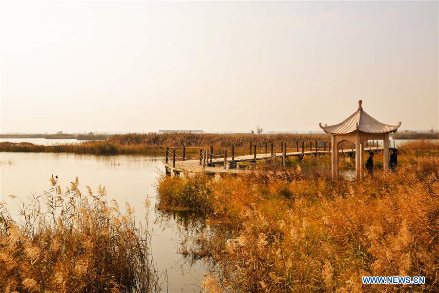 CHINA-INNER MONGOLIA-TOGTOH-YELLOW RIVER-SCENERY (CN)