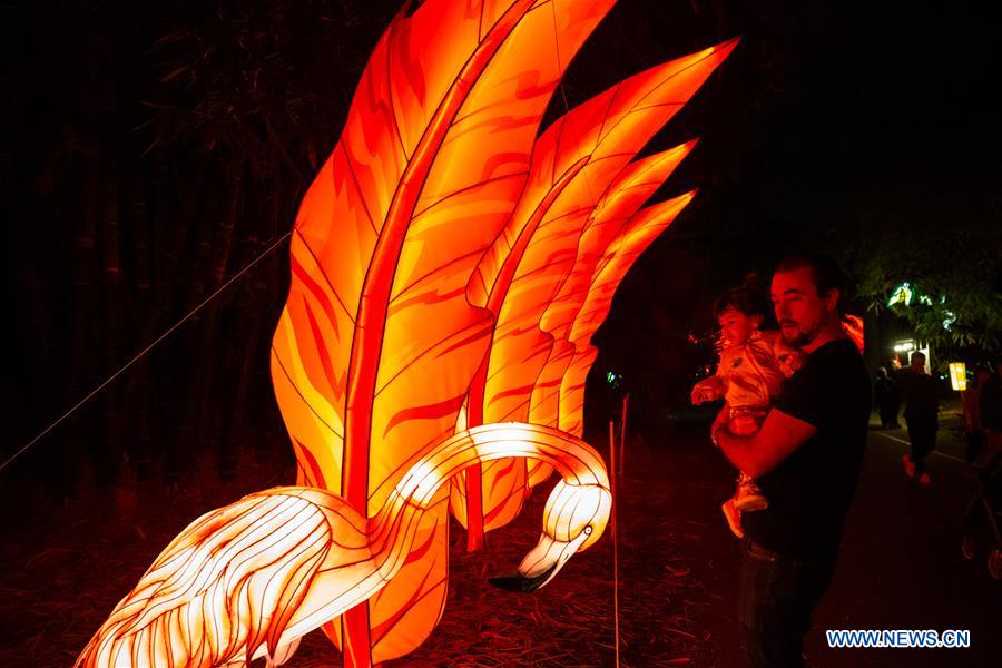 U.S.-LOS ANGELES-LANTERN ART FESTIVAL