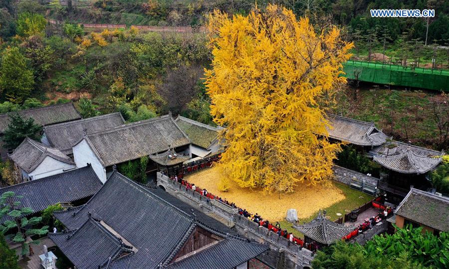 XINHUA PHOTOS OF THE DAY