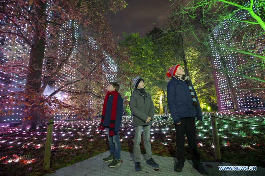 BRITAIN-LONDON-KEW GARDENS-CHRISTMAS LIGHT-MEDIA PREVIEW