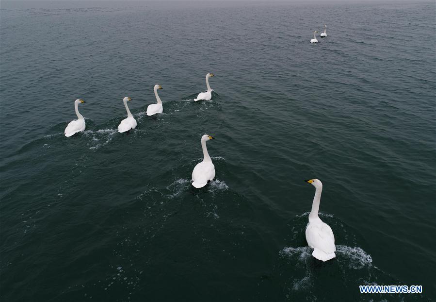 CHINA-SHAANXI-SHENMU-HONGJIANNAO LAKE-SCENERY (CN)