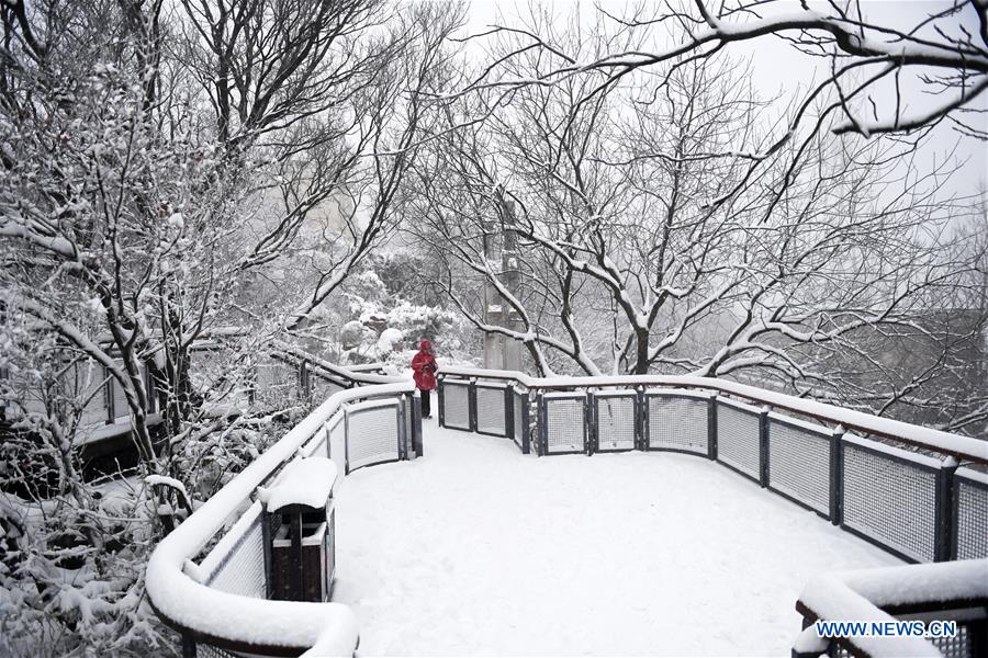 #CHINA-NANJING-SNOW (CN)