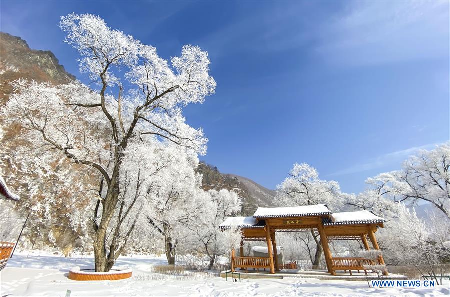 CHINA-JILIN-WINTER-SCENERY (CN)