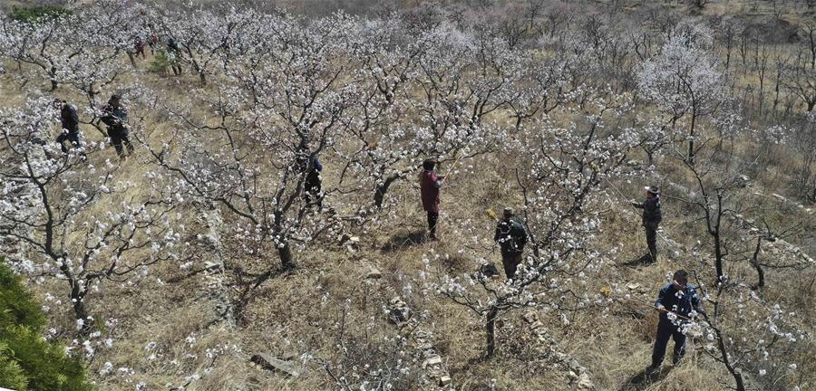 #CHINA-SPRING-FARMING (CN)