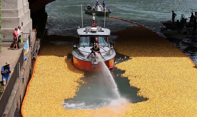 13th Annual Chicago Ducky Derby held in Chicago, United States