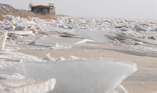 Major part of China's Yellow River frozen solid