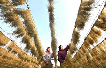 Handmade vermicelli enters selling season as New Year drawing near