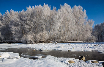 In pics: 2nd Burqin rime festival in China's Xinjiang