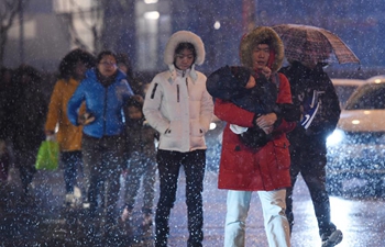 Beijing embraces first snowfall in 2020