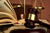 抓害群之馬，助金融改革一臂之力